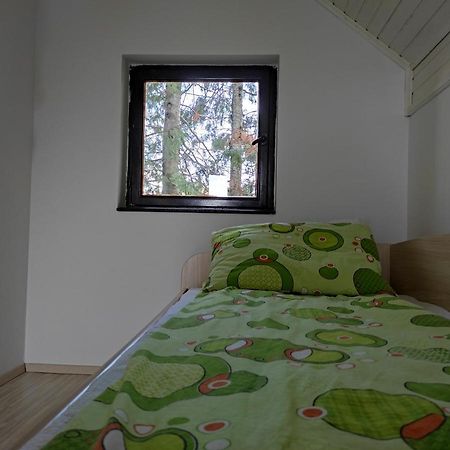 באינה באשטה Vila Hajdi Planina Tara מראה חיצוני תמונה