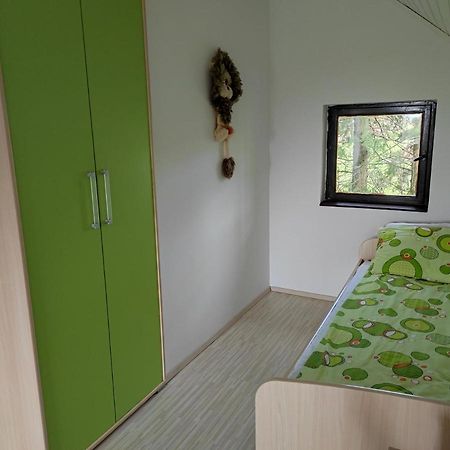באינה באשטה Vila Hajdi Planina Tara מראה חיצוני תמונה