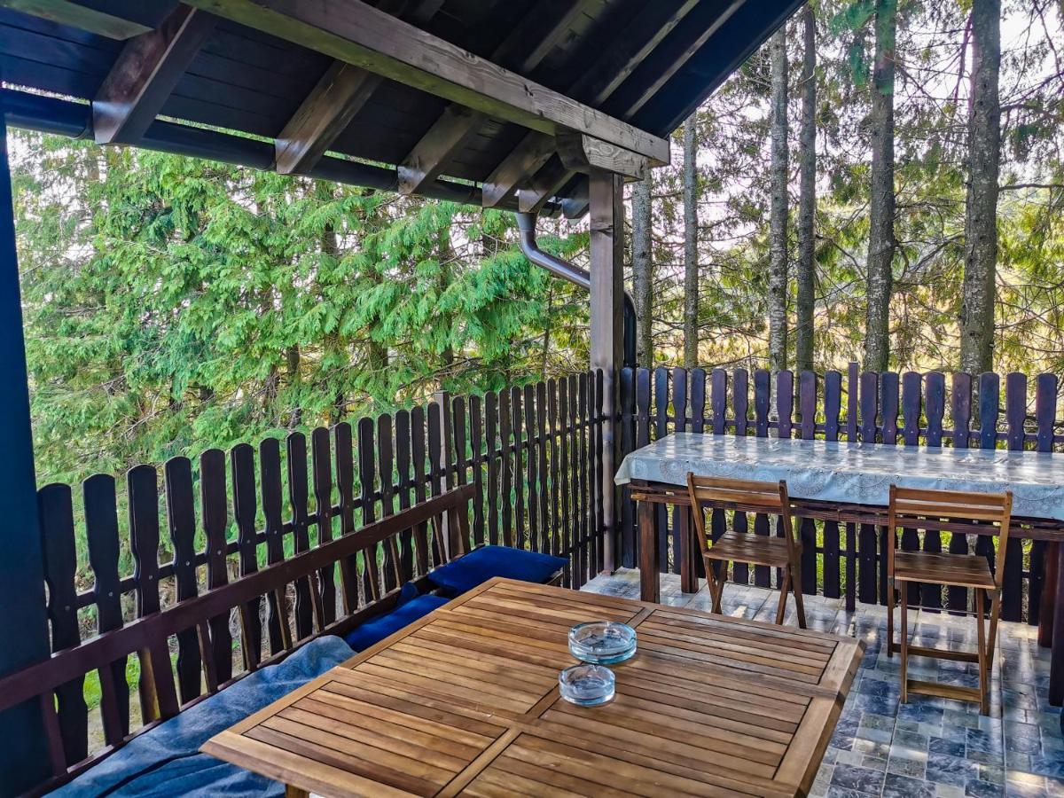 באינה באשטה Vila Hajdi Planina Tara מראה חיצוני תמונה