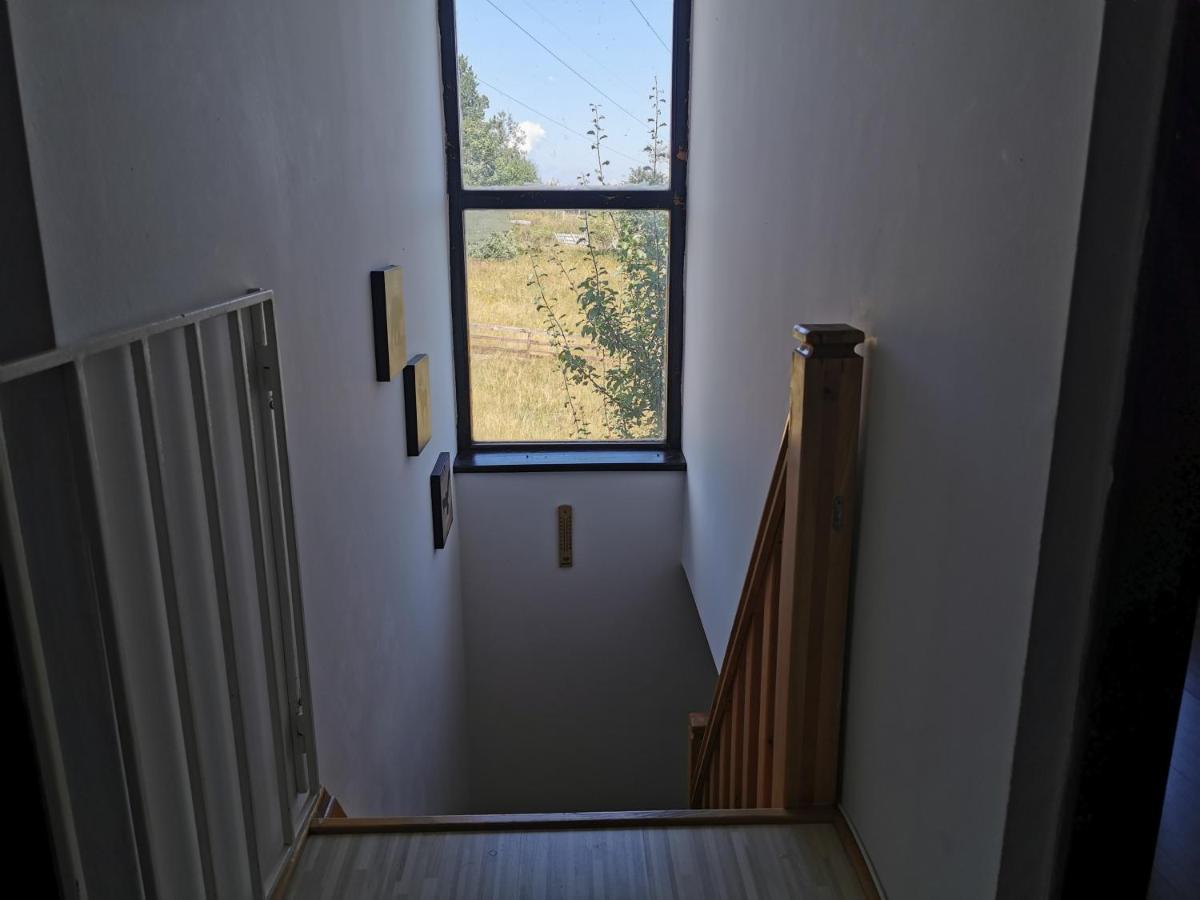 באינה באשטה Vila Hajdi Planina Tara מראה חיצוני תמונה