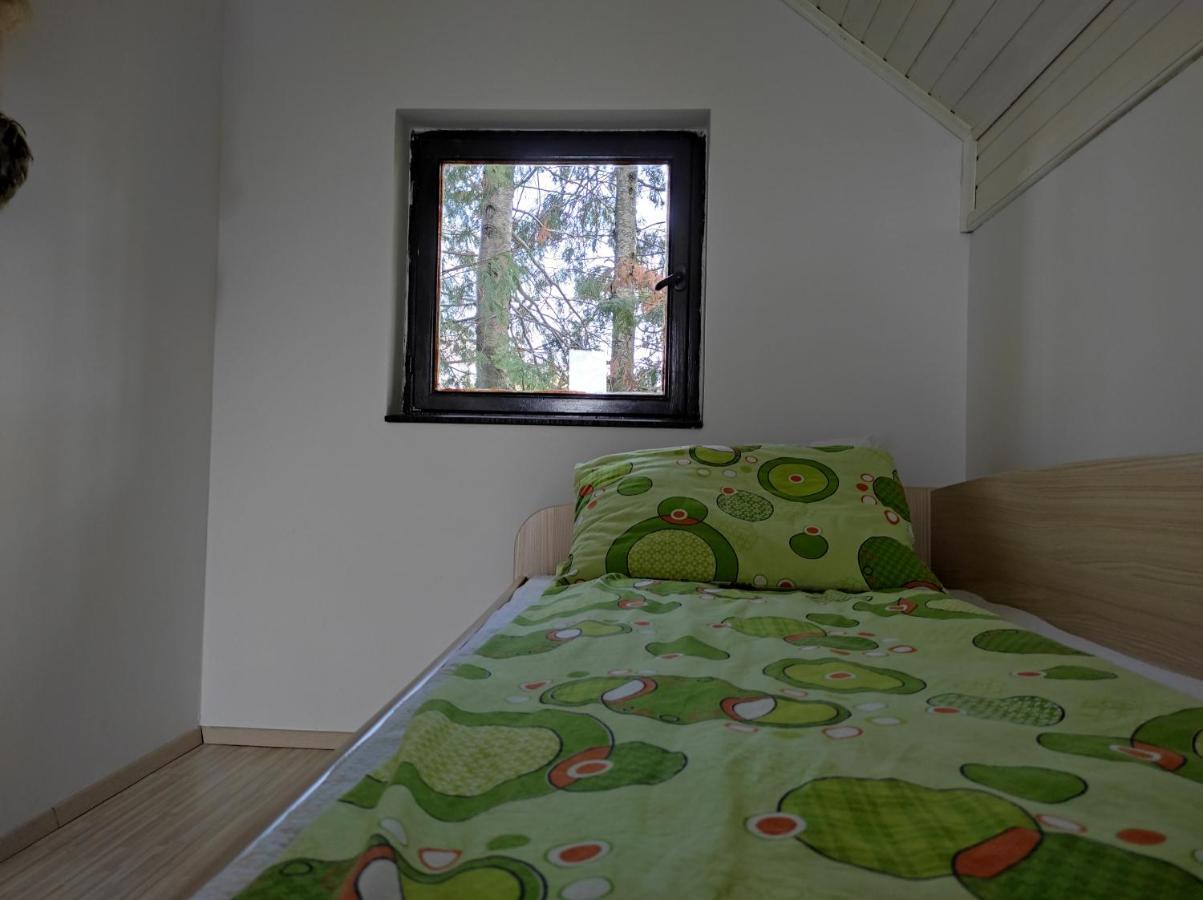 באינה באשטה Vila Hajdi Planina Tara מראה חיצוני תמונה