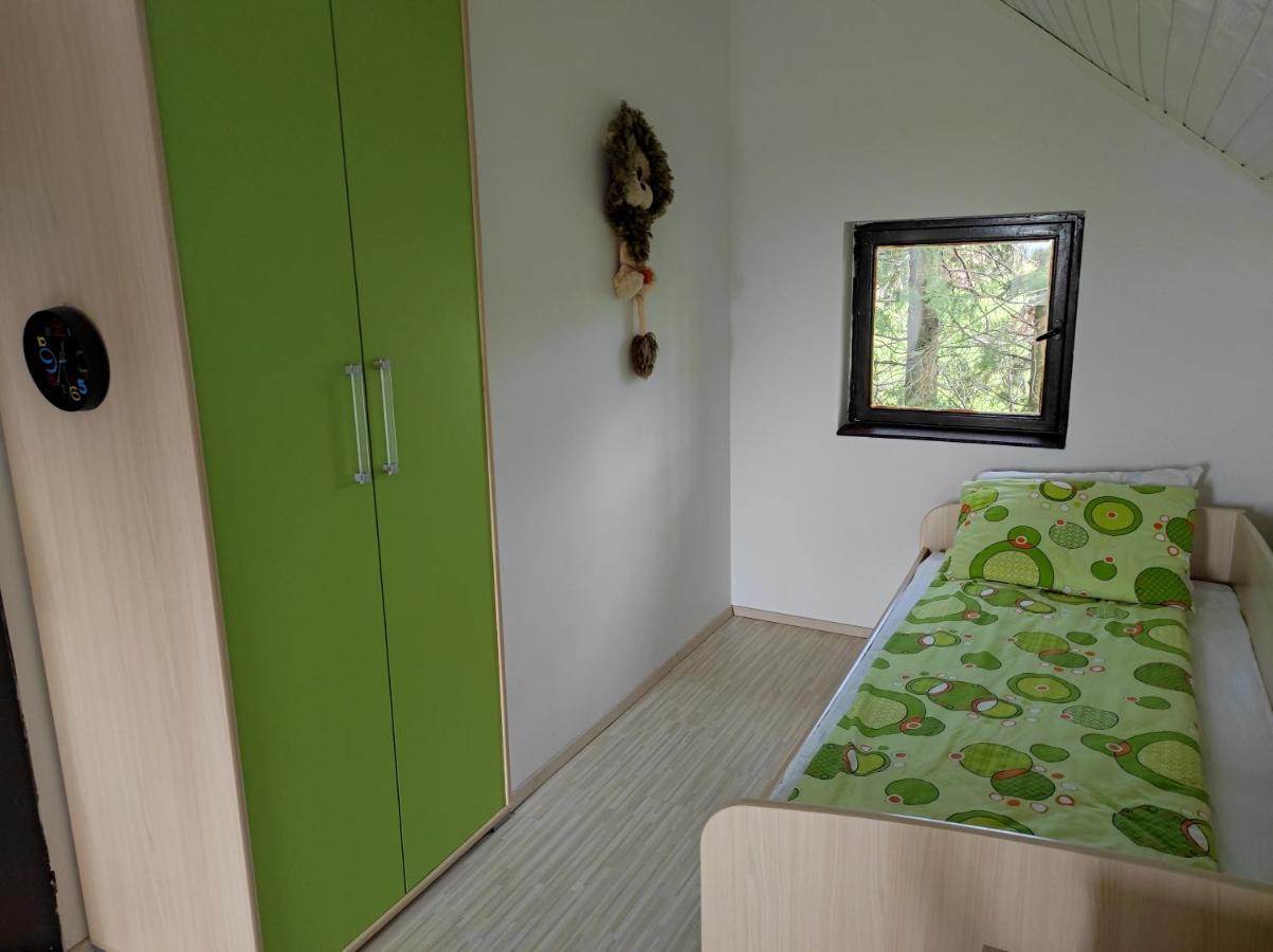 באינה באשטה Vila Hajdi Planina Tara מראה חיצוני תמונה