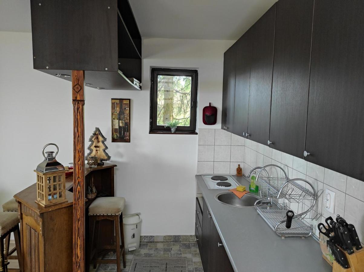 באינה באשטה Vila Hajdi Planina Tara מראה חיצוני תמונה