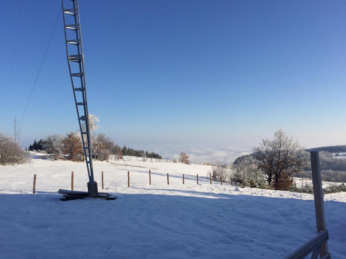 באינה באשטה Vila Hajdi Planina Tara מראה חיצוני תמונה